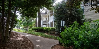 Walton Grove Gallery 14