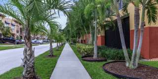 Adagio at Westshore Palms Gallery 30