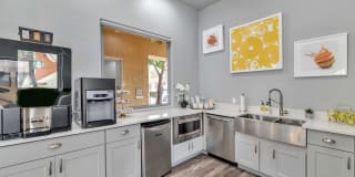 Ventura Vista Gallery 8