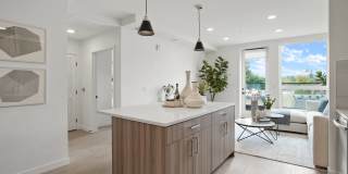 Maxwell at Bascom Maxwell at Bascom Gallery 15