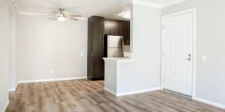 Central Park Gallery 7