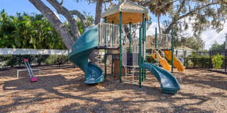 Beautiful Riverview Rental – Water, Sewer & Trash Included Gallery 36