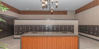 Live Grandscape Gallery 3