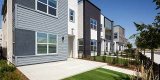 Cyrene at Meadowlands Gallery 4