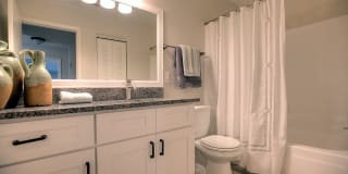 Madison at Roosevelt Gallery 10