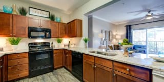 Callista Hill Country Apartments Gallery 4