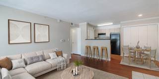 Medical Center Gallery 2