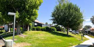 Dove Ridge Gallery 3