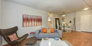 Madison Bellevue Gallery 8