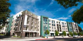 Cadence Apartments Gallery 18