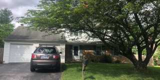 7532 BUENA VISTA Terrace Gallery 1