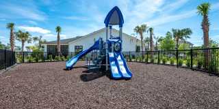 Alta Citron Gallery 32