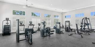 Eastshore Palm Bay Gallery 23