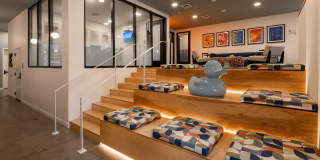 The Frankie Gallery 29