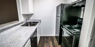 Spring Pine Gallery 28