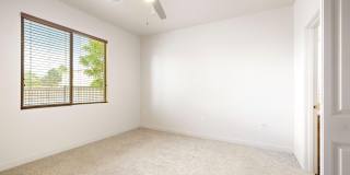 Olympus Alameda Gallery 17