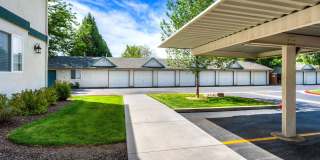 The Pines Apartments Gallery 7