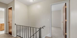 Beach South Gallery 14