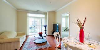 Elegant 2BD Condo with Unbeatable Access & Premium Features in Arlington w/ Parking! Elegant 2BD Condo with Unbeatable Access & Premium Features in Arlington w/ Parking! Gallery 11