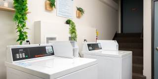 Lakeview Park Gallery 7