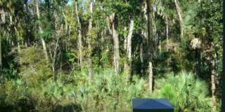 1230 Wright Circle, Unit 214, Celebration, FL 34747 Gallery 1