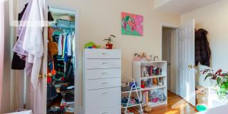 Huge 4 bed in Brookline Gallery 14