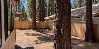 4 Bed, 2 Bath Home on Large Corner Lot Near the Y Gallery 16