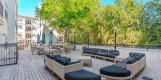 Vines at Turtle Creek Gallery 17