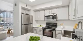 Morrison in Mesa Gallery 3