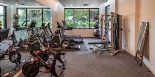 Aria Apartments Gallery 11