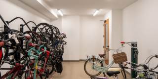 Oro Ballantyne Gallery 49