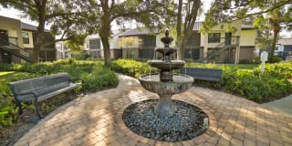 Palms of Clearwater Gallery 18