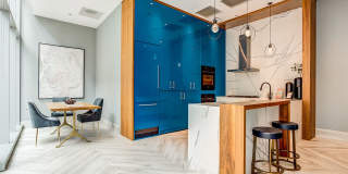 Sentral Michigan Avenue Gallery 25