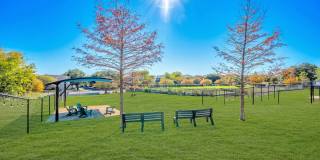 Still Waters Still Waters Gallery 9