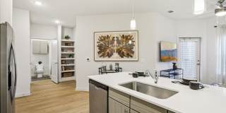 Matador Gallery 109