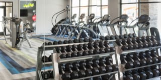 Tall Grass Village Gallery 4