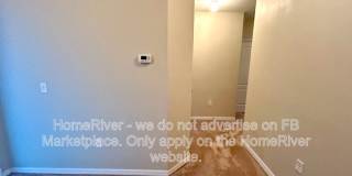 8831 Indigo Trail Loop Gallery 17
