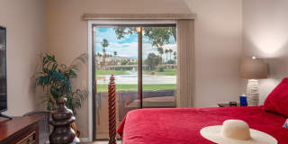 28914 Desert Princess Drive Gallery 11