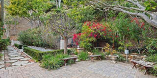 10216 Cielo Dr Gallery 32
