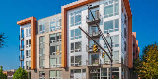 303 Front Street Gallery 23