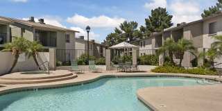 Palm Crest at Station 40 Gallery 12