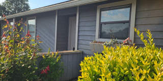 $1195.00 - 2/2 - Jefferson Square - Newly updated FRESH Gallery 1