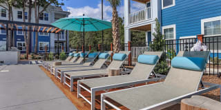 Arboretum West Gallery 28