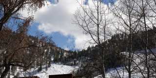 100 E Cooper Avenue unit: #3 Gallery 18