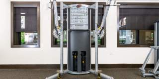 Paragon at Old Town Gallery 21