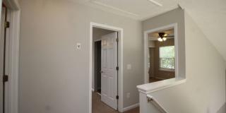 137 Swanee Lane Gallery 19