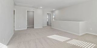 Room in 3 Bedroom Home at Balham Ct Gallery 4