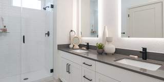 Vireo Medical District Gallery 12