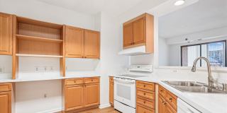 3210 N LEISURE WORLD Boulevard unit: 119 Gallery 13