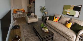 Winchester Arms Gallery 6